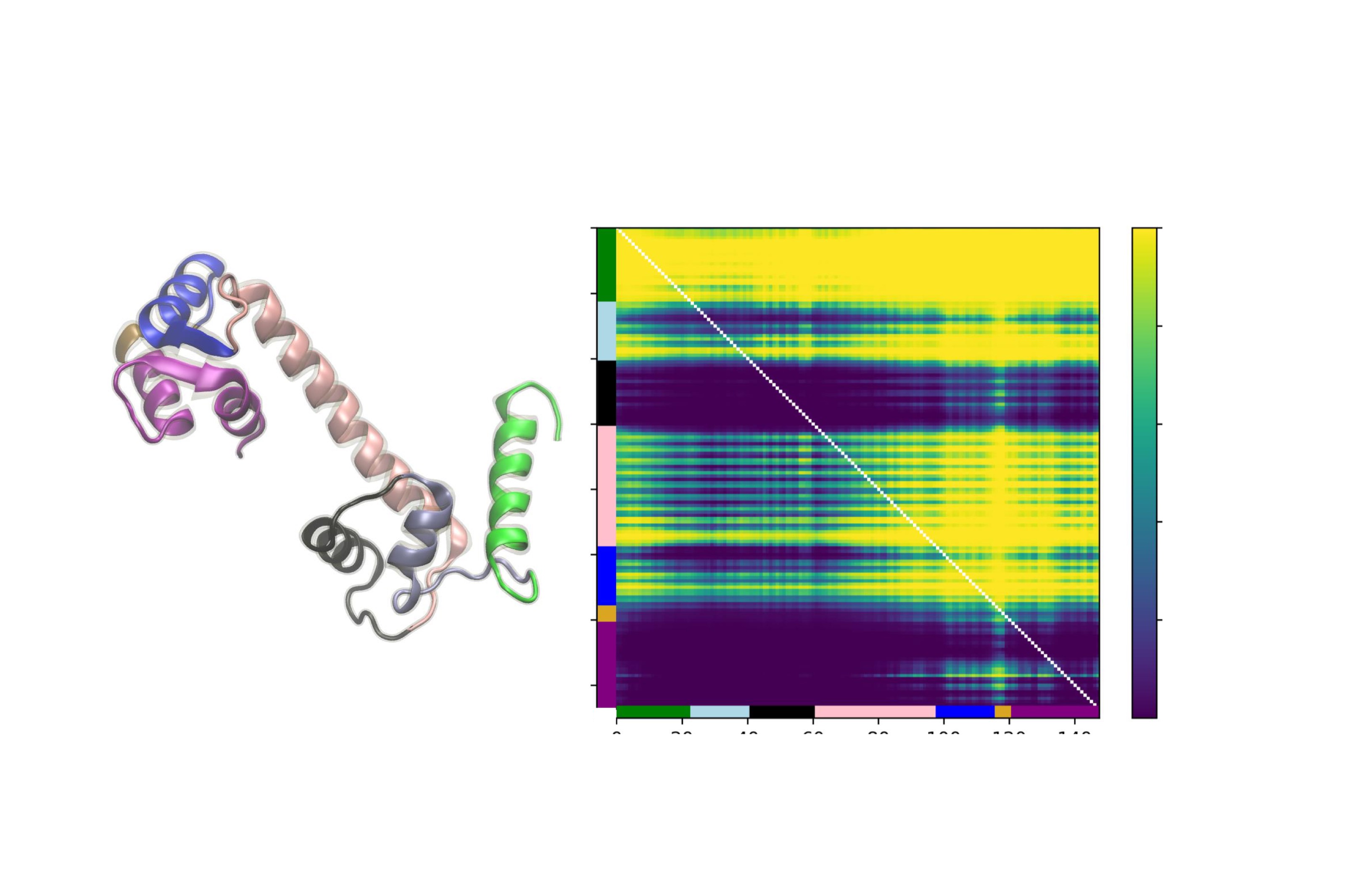 Protein Dynamics