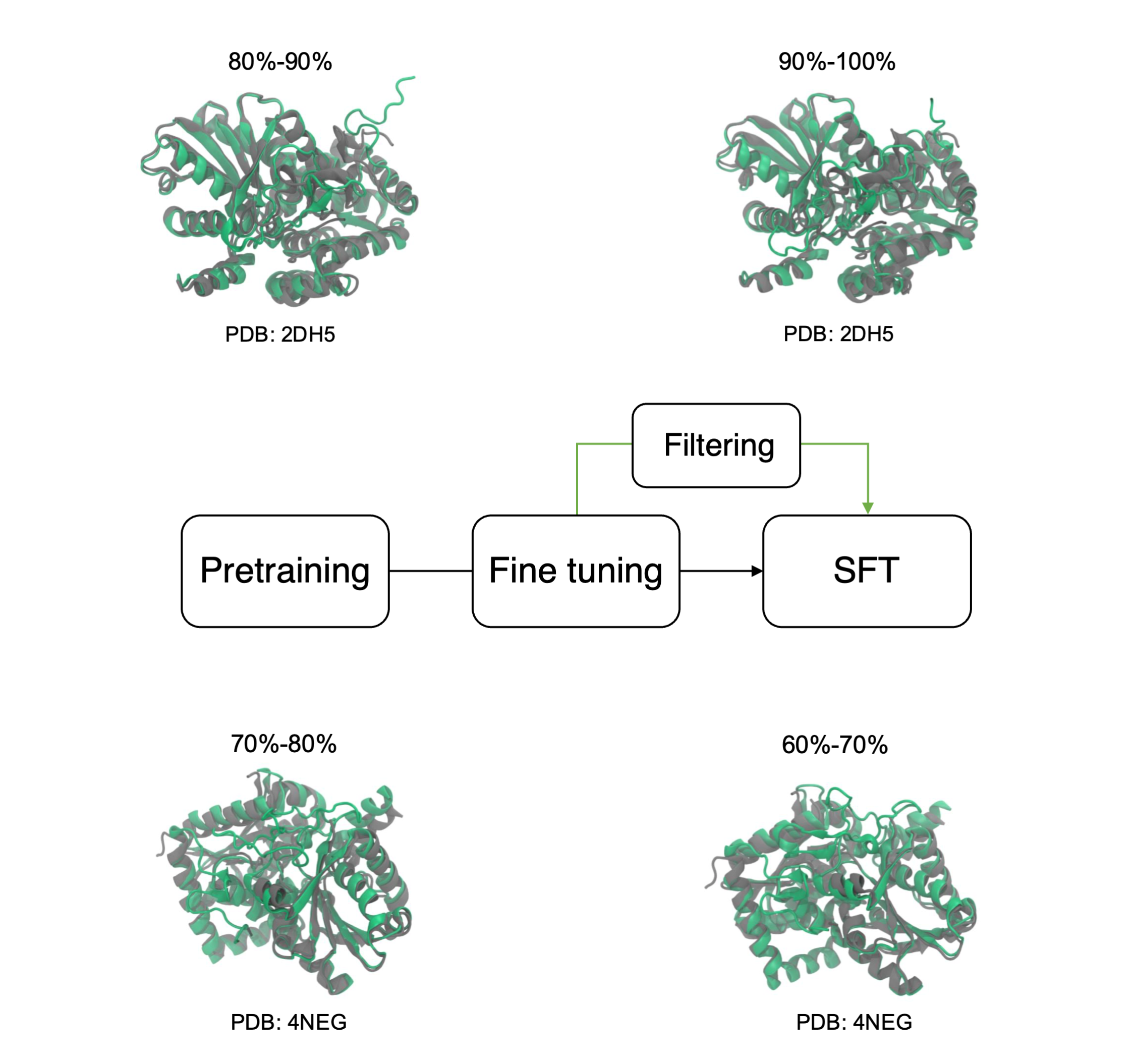 protein-sft